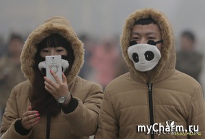 ������ �������� ������� - ����� ����� � �����