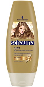  SCHAUMA