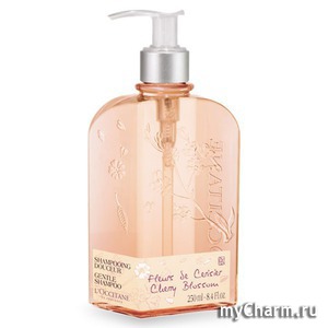 L'Occitane /  Cherry Blossom Shampoo