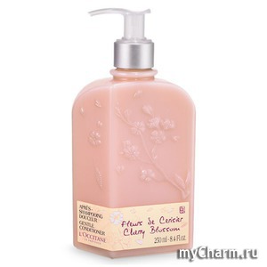 L'Occitane /  Cherry Blossom Condit