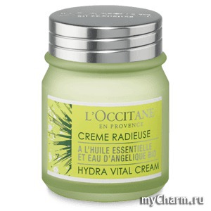 L'Occitane /    Angelica Hydra Vital Cream