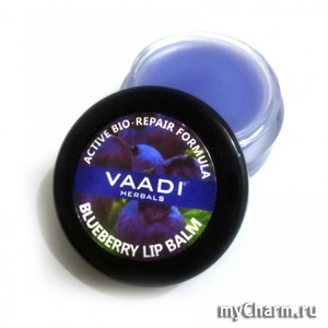 Vaadi Herbals /    Active bio-repair formula blueberry lip balm