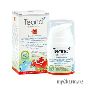 Teana /             