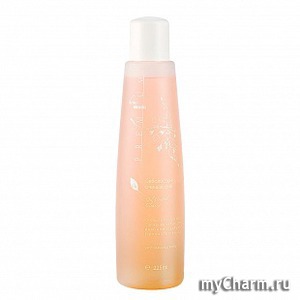 Premium / Себолосьон очищающий