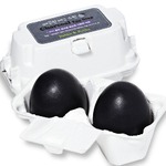 ���� Holika Holika