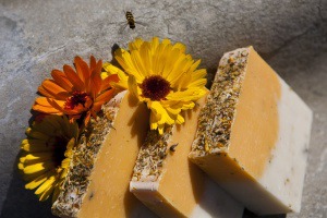 "������-��������� ����" / ������������ ���� "���������"