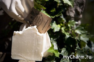 "������-��������� ����" / ������������ ���� ������������