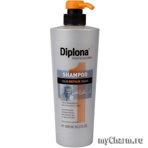 Diplona Professional /      Your Repair Profi