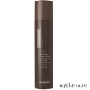 Brelil Professional /  logo S6 strong holding mousse