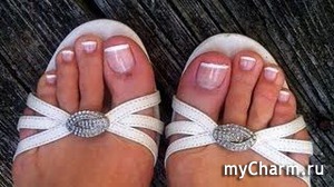 ���� ������� ��������