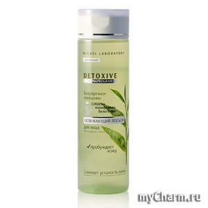 Dermaprogram Detoxive /  