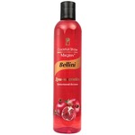 ���-�������� Magrav