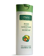 ���� ��� ���� ��������