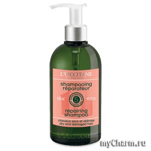 L'Occitane /  Aromacologie Repairing Shampoo