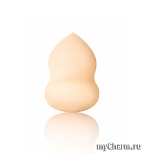 Yves Rocher /    Eponge physionomiste