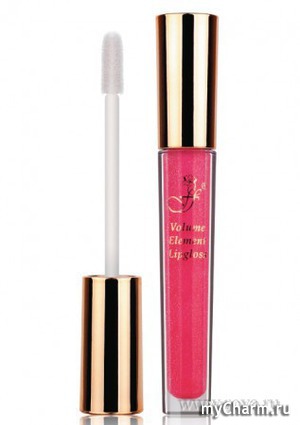 FFleur /    Volume Element