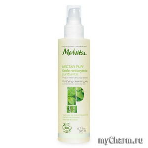 Melvita /    Purifying Foaming Gel