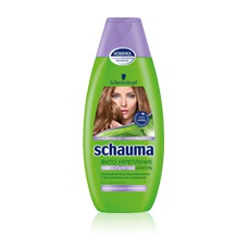 SCHAUMA /  -