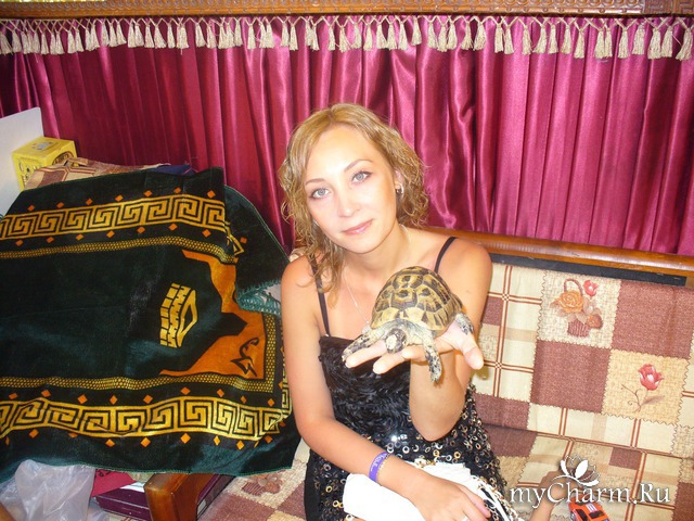 ��� ����