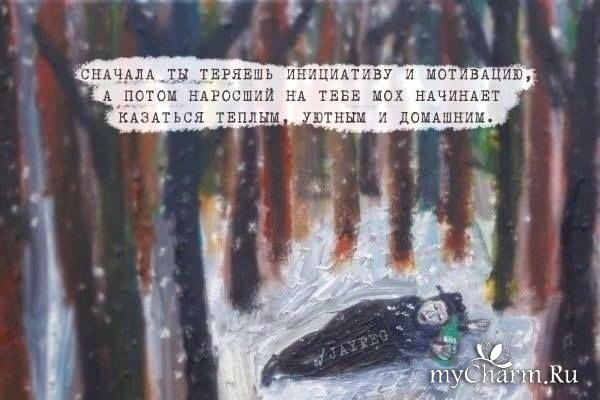 7 ������, ������ ���� �� �������