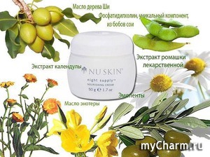    NIGHT SUPPLY NOURISHING CREAM