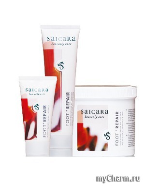 Saicara /    Foot Repair