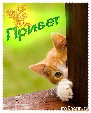 О том, как я стала майчармелькой!