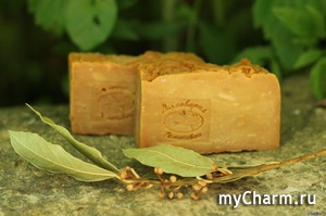 "��������� ���������" / ���� "���������"