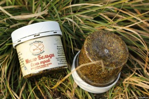 "��������� ���������" / ���� ������ "���� ����"