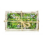 ���� ����������