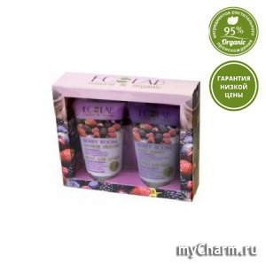 Ecolab /   Berry Boom