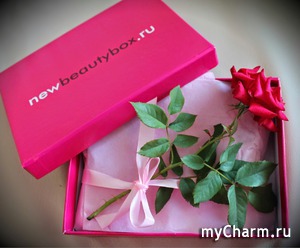NewBeautyBox / -
