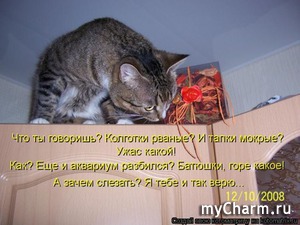 �� � ���, ��� �����������...