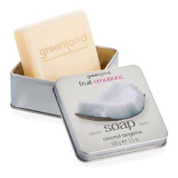 greenland /  Hand Soap Coconut-Tangerine