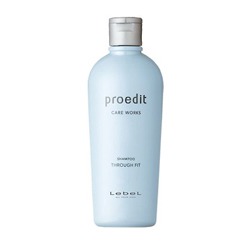 Lebel /  Proedit Care Works Through Fit Shampoo