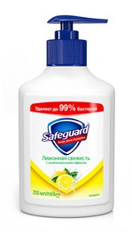���� ������ Safeguard