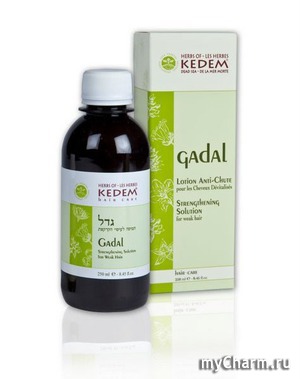 Kedem /     Gadal Strengthening solution
