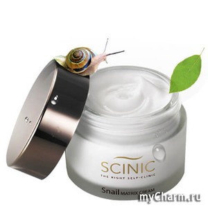 Scinic / Крем для лица Snai Matrix cream
