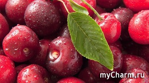 Вишневая благодать: полезные свойства любимой июльской ягоды