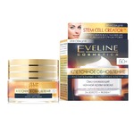 - Eveline Cosmetics