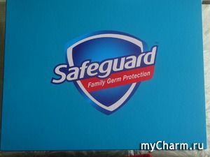   "Safeguard"