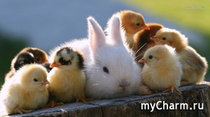 ��������-��� �����!