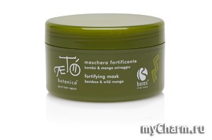 Barex /    Aeto Fortifuing mask bamboo & wild mango