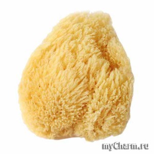 Clarette / Натуральная морская губка для лица