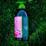 ������� ��� ����� Napla