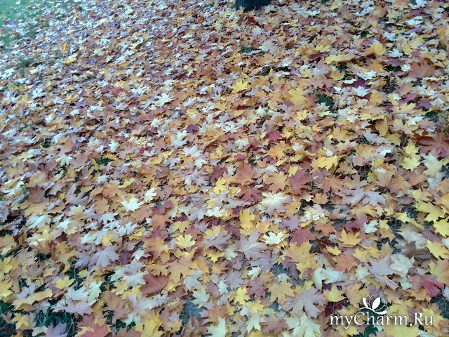 Осенний коврик, готов!