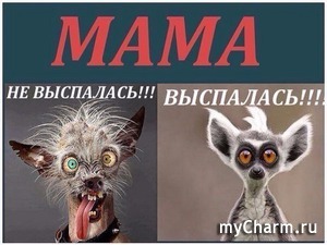 ���� ������� ���� � ����������� ����������