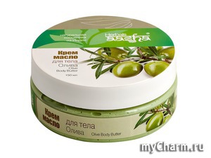Aasha Herbals / -   Olive Body Butter