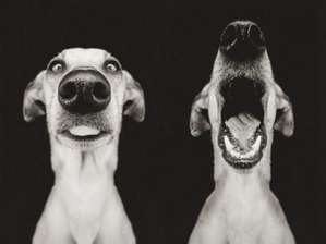 ������ ��������� ����������)))