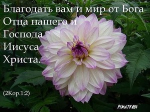 ��� ������